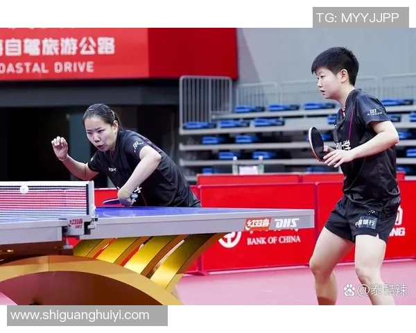 武汉乒乓球队的整体压制之道与深度解析乒乓球运动的魅力与挑战